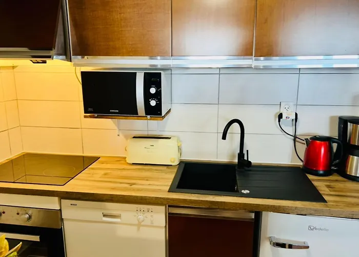 Apartman Beautiful T2 With Balcony Near Track Chamonix